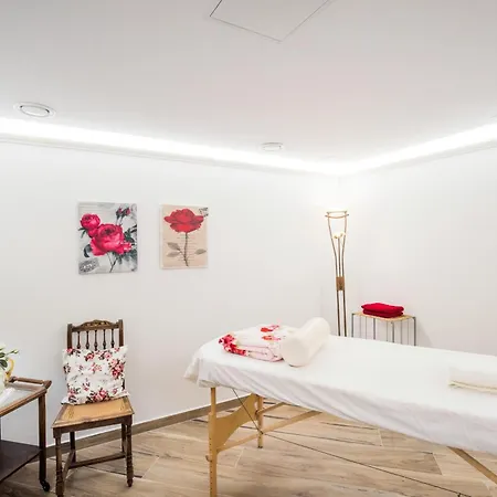 Hotel Hubertusbaude 3*